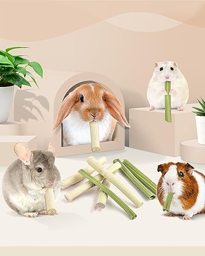 Bissap 40PCS Rabbit Chew Sticks, 20PCS Sweet Bamboo Chew Sticks & 20PCS Papaya Stems Bunny Chews for Rabbit Hamster Chinchilla Guinea Pig Small