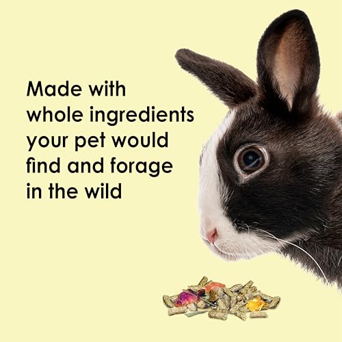 Kaytee Food from The Wild Natural Pet Rabbit Food, 4 Pound