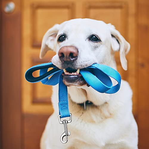 6 Pieces Dog Leash Bulk for Medium and Large Dog, Heavy Duty Nylon Pack Dogs Leashes Padded Handle Double Sided Reflective Puppy Collar for Walking