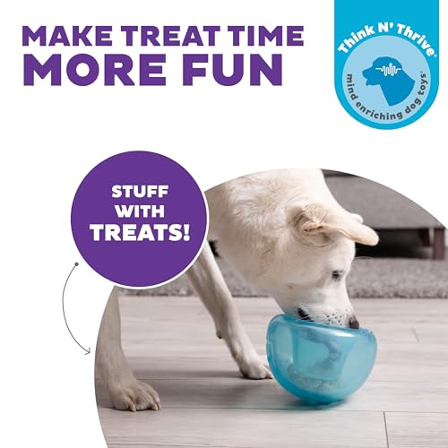 Outward Hound by Planet Dog Snoop Dog Toy – Treat‑Dispenser Puzzle Ball, Interactive Slow Feeder, Medium to Large Dogs, Bouncy & Mint-Infused, Blue