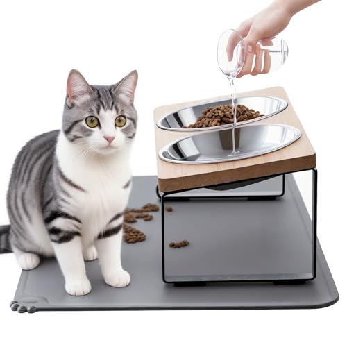 Upgraded Elevated Cat Bowls with Food Mat,15°Tilted Stand Anti Vomiting Raised Cat Dishes for Food and Water,2 Stainless Steel Bowls for Cats and