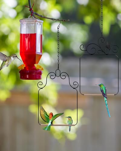 PACETAP Hummingbird Swings and Perches Metal Frame 2 Pack, Wild Bird Swing Outdoor Bird Perch with Wooden Dowel and 2 Hanging Chain for Hanging