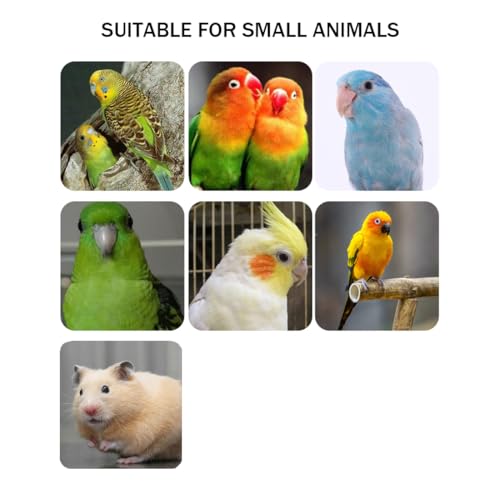 Hamiledyi 5 Pcs Parrot Perch Stand Natural Wood Bird Perch Stand Platform Paw Grinding Sticks Cage Accessories Exercise Toys for Budgies Parakeets