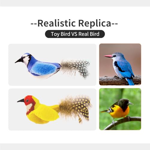 Catnip Cat Toys Satisfy Cat's Natural Hunting Instintion for Indoors Cats Feather Toys Interactive with Lifelike Chirp Sound Chirping Bird Kitten Toy