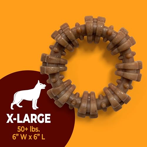 Nylabone Strong Chew Textured Ring Dog Toy Made with Real Beef & Chicken, Durable Chew Toys for Aggressive Chewers, Long Lasting Dog Bone, Keeps Dogs