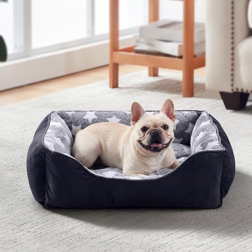 GASUR Dog Beds Small Medium Size, Small Dog Bed Washable, Orthopedic Pet Sofa Bed, Pet Cuddler Anti-Slip Bottom, Soft Calming Sleeping Warming Puppy