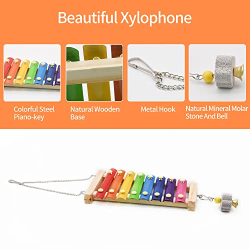 Swing Toys Xylophone, 2pcs Chicken Toys for Poultry Run, Rooster Hens Chicks Pet Parrots Macaw Entertainment, Stress Relief for Birds