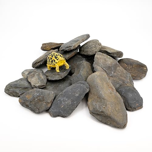 Aquarium Stone Natural Slate Stream Turtle Tank Rocks 3-7 inches Fish Rock for Aquarium Aquascaping Shrimp Tanks Amphibian Enclosures Paludarium-5lb