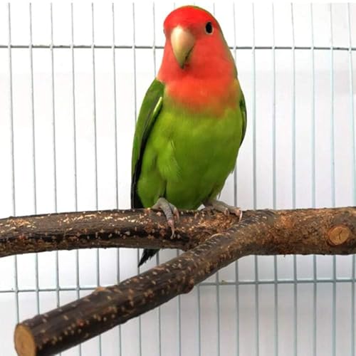 BILLIOTEAM 4 Pack Natural Wood Bird Perch Parrot Stand Branches Fork Toys,Pet Bird Cage Wooden Hanging Perch Platform Hammock Swing Toy for Small