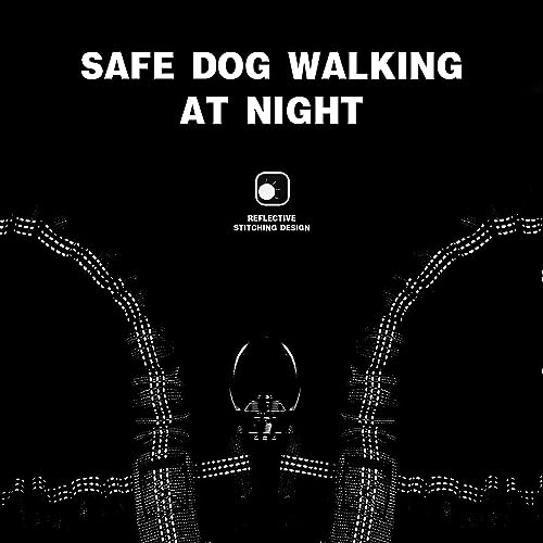 3 Dog Leash No Tangle, Heavy Duty Multiple Dog Lead Shock Absorbing Bungee with Padded Handle Removable Pet Traction Walking Rope for Medium Large