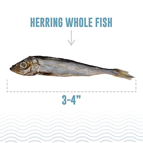 Icelandic+ Whole Fish Herring - 3oz Bag - Dog Treats, Pure Wild-Caught & Air-Dried, Single Ingredient Snack, Pet Chew, Just The Fish Nothing Else
