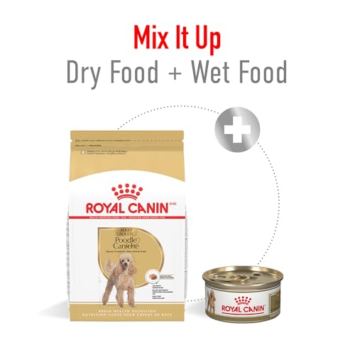 Royal Canin Breed Health Nutrition Poodle Adult Dry Dog Food, 10 lb Bag