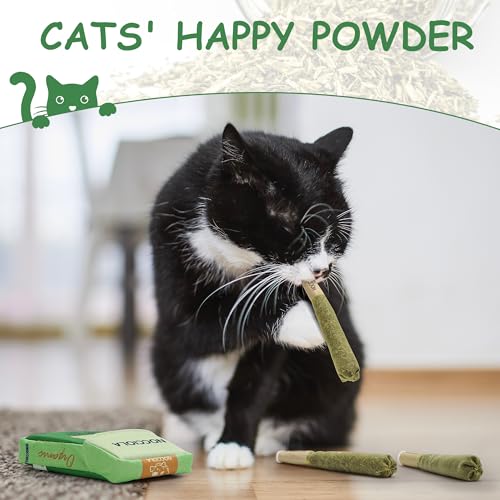 Nocciola 3 Pack Catnip Toys for Cats, Funny Cat Toys Filled with 100% Pure Organic Catnip, Safe Kitten Teething Chew and Kicker Toys, Stress