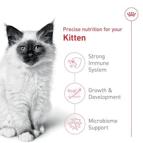 Royal Canin Feline Health Nutrition Kitten Dry Cat Food, 7 lb Bag