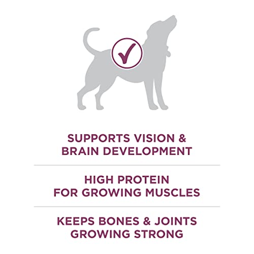 Purina ONE Plus Healthy Puppy Formula High Protein Natural Dry Puppy Food with added vitamins, minerals and nutrients - 8 lb. Bag