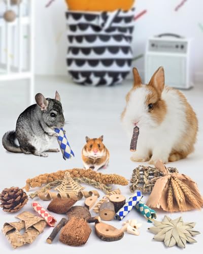 Bissap Rabbit Chew Toy, Natural Bunny Treats Snacks with Timothy Hay Water Grass Mat Coconut Husk Box for Guinea Pigs Chinchillas Hamsters Gerbils