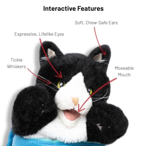 Cat Wrestling Glove Puppet – Interactive Hand Mitt with Durable Protective Sleeve and Catnip - Play & Enrichment