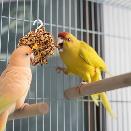 Abizoo Natural Pinecone Chew Toys with Edible Sunflower & Veggies - Malt Sugar Coated Foraging Enrichment for Parrots Cockatiels Conures Budgies