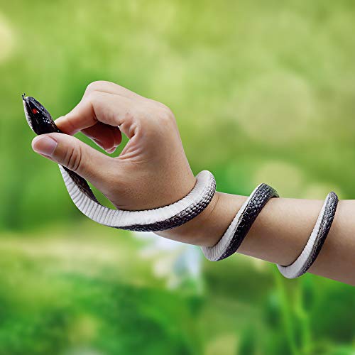 Shyflpopo 11 Pcs Realistic Rubber Snakes Decoration for Garden Props to Scare Birds, Squirrels, Mice, Prank Toys, Theater Props, and Party Favors for