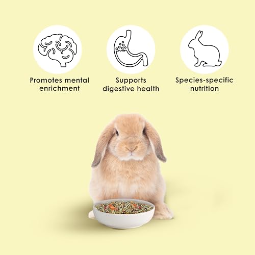 Kaytee Food from The Wild Natural Pet Rabbit Food, 4 Pound