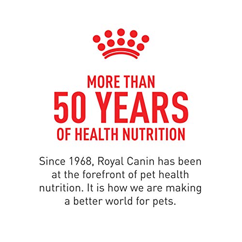 Royal Canin Feline Health Nutrition Indoor Adult & Adult Instinctive Thin Slices in Gravy and Morsels in Gravy Variety Pack Cat Food, 3 oz (Pack of