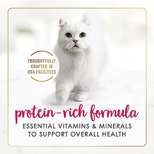 Purina Fancy Feast Chicken Feast Classic Grain Free Wet Cat Food Pate - (Pack of 24) 3 oz. Cans