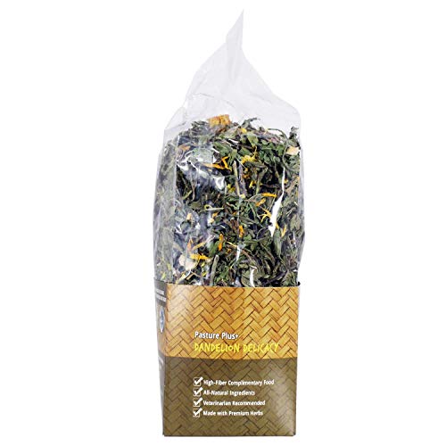 Exotic Nutrition Pasture Plus+ Dandelion Delicacy - Healthy Natural High-Fiber Dried Flower Treat - Guinea Pigs, Rabbits, Chinchillas, Prairie Dogs