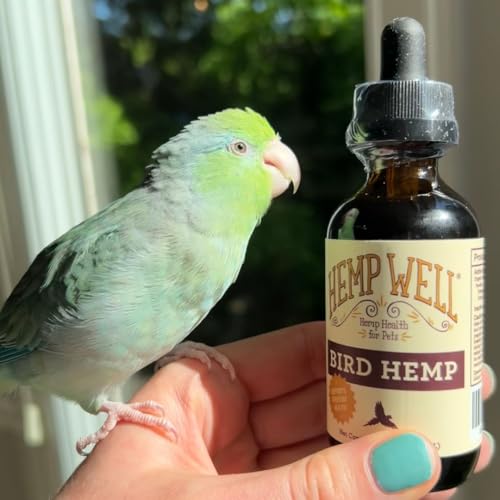Organic Hemp Well Bird Hemp Oil – 2 Ounces. Parrot, Parakeet, Cockatiel and All Birds for Supporting Health, Feather Plucking, Destructive Behavior