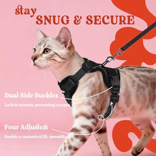 rabbitgoo Cat Harness and Leash for Walking, Escape Proof Soft Adjustable Vest Harnesses for Cats, Easy Control Breathable Reflective Strips Jacket