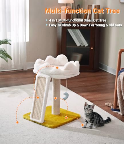 Happi N Pets Cat Tree, Cloud Cat Tower with Soft Bed, Cat Scratching Post & Pad with Larger Perch for Window Viewing, Small Cat Tree with Cute Toys