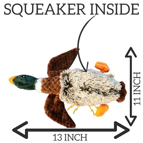 Duck Dog Toy Squeak Toys | Mallard-Shaped | Shaped Pet Toys | Duck Dog Toys for Large Dogs | Mallard Dog Toy | Dog Chew Toys | Stuffed Toys