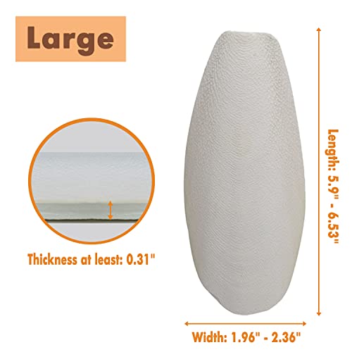 5.9"-6.53" Large Bird Cuttlebone for Parakeets, Cuddle Bone with Plastic Holder, Cuttlefish Bone for Sharp Beaks, Natural Birds Calcium Suitable for