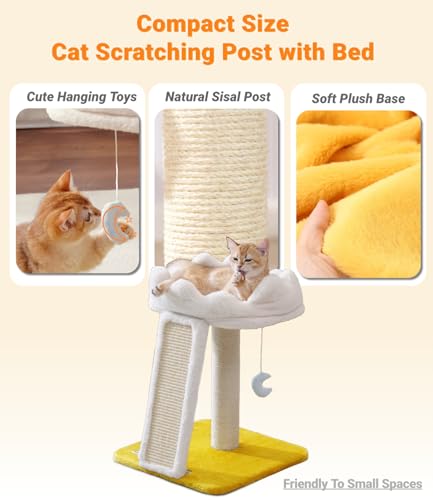 Happi N Pets Cat Tree, Cloud Cat Tower with Soft Bed, Cat Scratching Post & Pad with Larger Perch for Window Viewing, Small Cat Tree with Cute Toys
