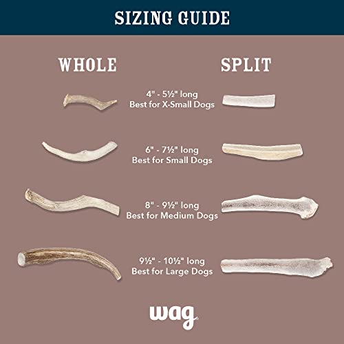 Brand - Wag Split Elk Antler, Naturally Shed, Long Lasting for Aggressive Chewers, Medium (Best for Dogs 15-30 lbs)