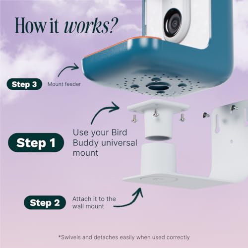 Birdbuddy Wall Mount - Versatile Bird Feeder Wall Mount for Wall & Fences - Durable, Weather-Proof Heavy Duty and Secure & Stylish Outdoor Feeder