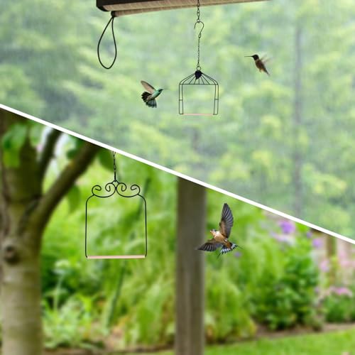 2PK Metal Frame Hummingbird Swings and Perches with Wooden Dowel Black Bird Swing Outdoor Bird Perch Humming Bird Swing