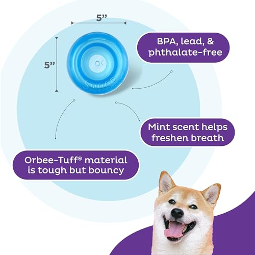 Outward Hound by Planet Dog Snoop Dog Toy – Treat‑Dispenser Puzzle Ball, Interactive Slow Feeder, Medium to Large Dogs, Bouncy & Mint-Infused, Blue
