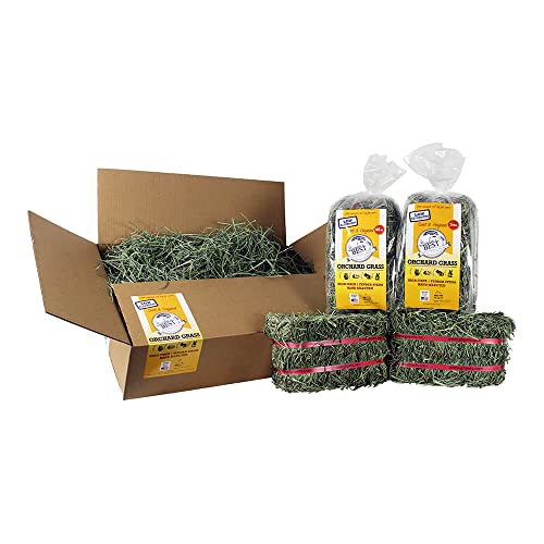 Grandpa's Best Premium Orchard Grass Hay for Rabbits, Guinea Pigs, Chinchillas, Hamsters & Gerbils, 20lb Loose Boxed, Brown