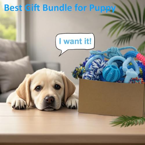 Beiker 20 Pack Puppy Chew Toys - Blue Dog Teething Toys for Puppies, Puppy Teething Rings and Ropes, Rubber Toy Bundle for Small Dogs, Cute