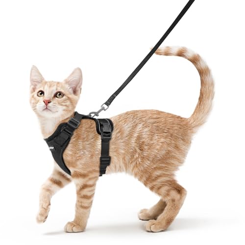 rabbitgoo Cat Harness and Leash for Walking, Escape Proof Soft Adjustable Vest Harnesses for Cats, Easy Control Breathable Reflective Strips Jacket