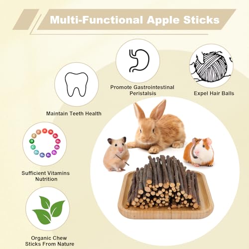 900g Apple Sticks Wood Chew Sticks Toys for Rabbits Chinchillas Guinea Pigs Hamsters Bunny Molar Chew Treats Toys for Teeth, Small Animals Snacks