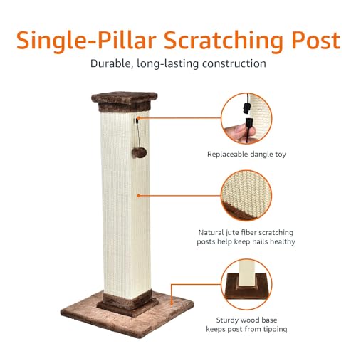 Basics Sturdy Cat Scratching Post for Indoor Cats & Kittens, Classic Single Post with Sisal Rope, Jute Fiber, Wood Base, Large (35.4"H), Brown