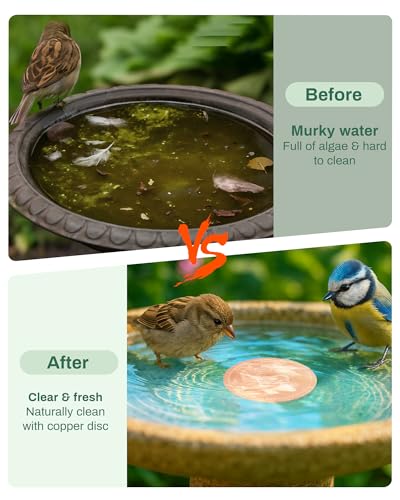 Bird Bath Purification Disk Pure Copper Outside Winter Solar Power Birdbath Heater Deicer Cage Hanging Bowl Metal Warmer Deck Railing Glass Concrete