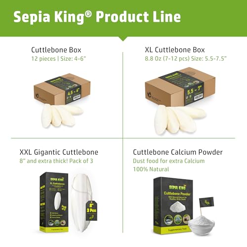 Large - 100% Natural Calcium Supplement - Premium Cuttlebone perfect for Birds, Tortoises, Snails, Reptiles - 5.5 to 7 inch