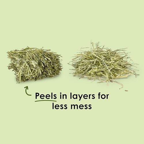Kaytee Wafer Cut All Natural Timothy Hay for Pet Guinea Pigs, Rabbits & Other Small Animals, 60 Ounce