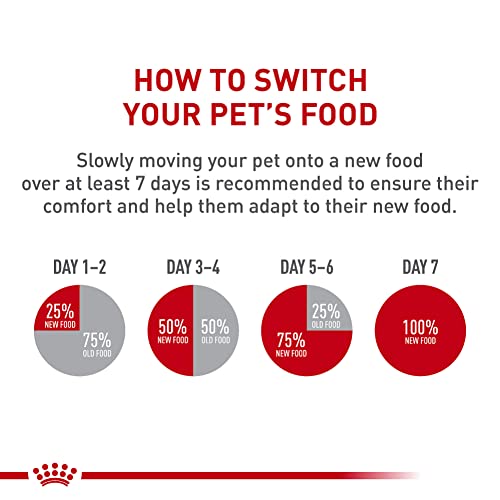 Royal Canin Feline Health Nutrition Indoor Adult & Adult Instinctive Thin Slices in Gravy and Morsels in Gravy Variety Pack Cat Food, 3 oz (Pack of
