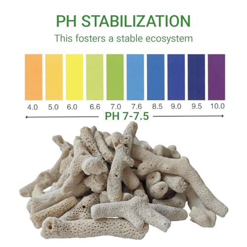 1.1lb/500g Crushed Coral, Natural Fish Tank Crushed Coral, Crushed Coral Filter for Freshwater Aquarium Ph Aquarium Bio Filter Media Bag Reusable