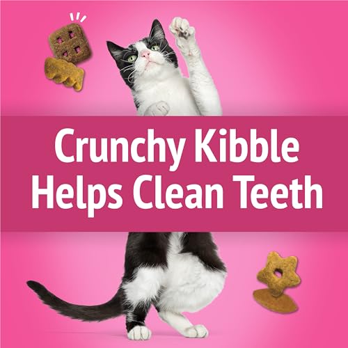 Purina Friskies Party Mix California Crunch with Chicken and Flavors of Turkey and Bacon Cat Treats - 30 oz Canister
