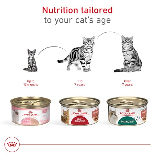Royal Canin Feline Health Nutrition Adult Instinctive Adult Thin Slices in Gravy Cat Food, 3 oz (Pack of 24)