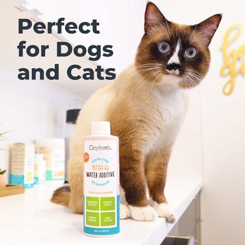 Oxyfresh Premium Pet Dental Care Solution Pet Water Additive: Best Way to Eliminate Bad Dog Breath and Cat Bad Breath - Fights Tartar & Plaque - So